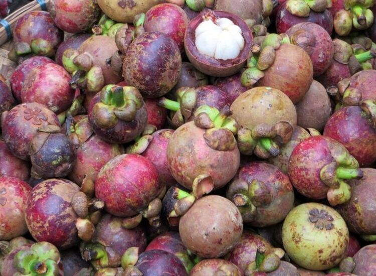 Manggis Manis di Jl. Manggis: Rasa yang Menggoda, Harga yang Pas