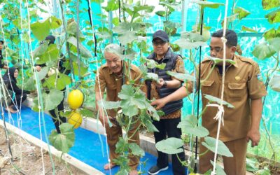 Manggis Manis di Jl. Manggis: Rasa yang Menggoda, Harga yang Pas